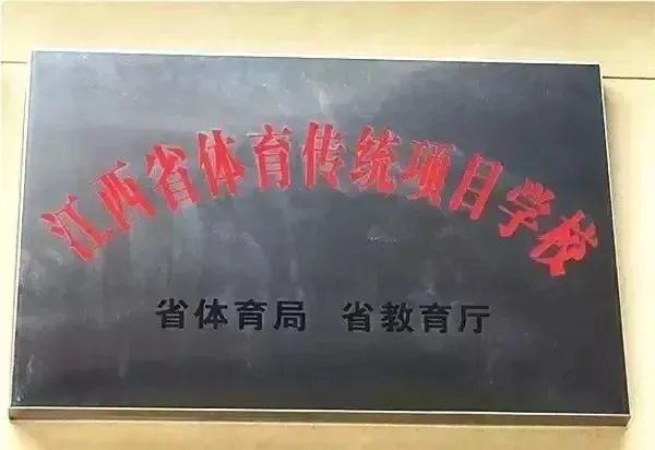 如何设计个性化的篮球训练方案以促进个体发展_2